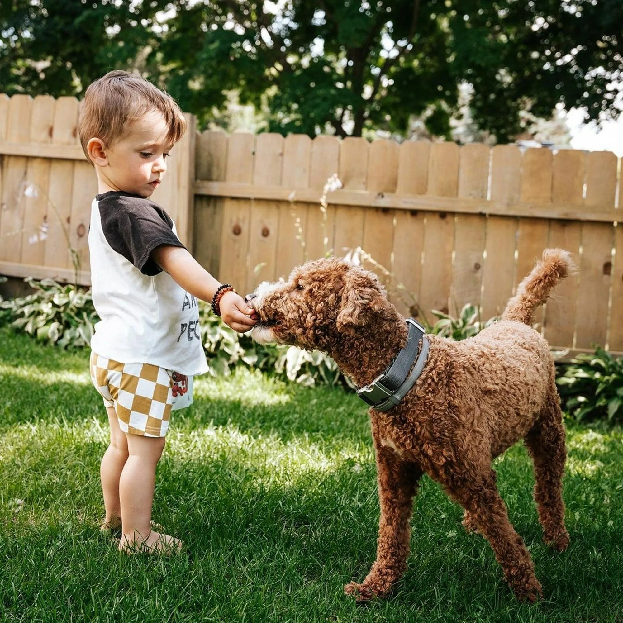 Kids | Raw Honey Baltic Amber Bracelet