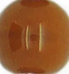 Mother of Pearl Shell Alphabet Letter Charm Czech Glass Bead Choker