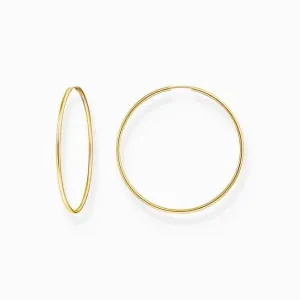Sterling Silver Gold Plated Big Hoop Earrings CR729-413-39