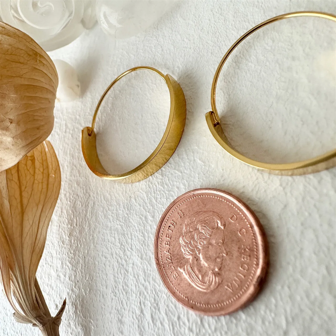 Torus Contemporary Hoop Earrings
